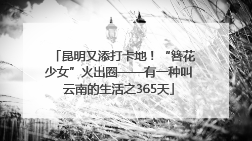 昆明又添打卡地！“簪花少女”火出圈——有一种叫云南的生活之365天