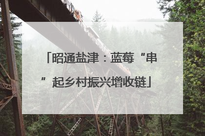 昭通盐津：蓝莓“串”起乡村振兴增收链