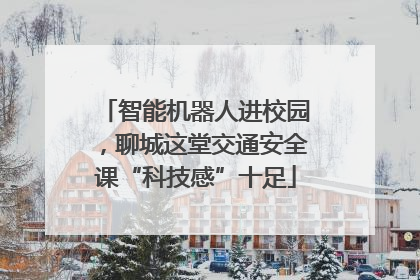 智能机器人进校园，聊城这堂交通安全课“科技感”十足