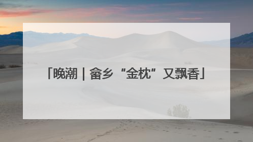 晚潮｜畲乡“金枕”又飘香