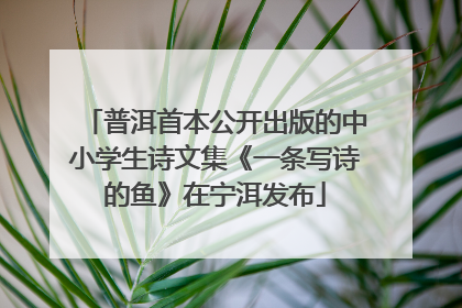 普洱首本公开出版的中小学生诗文集《一条写诗的鱼》在宁洱发布