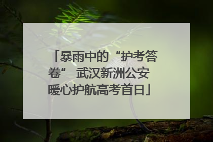暴雨中的“护考答卷” 武汉新洲公安暖心护航高考首日