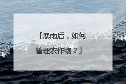 暴雨后，如何管理农作物？