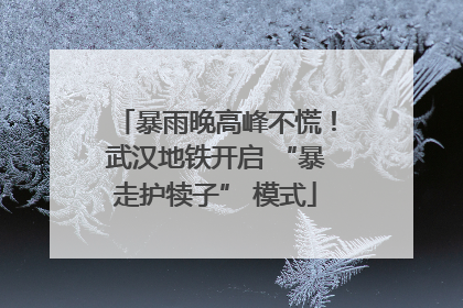 暴雨晚高峰不慌！武汉地铁开启 “暴走护犊子” 模式
