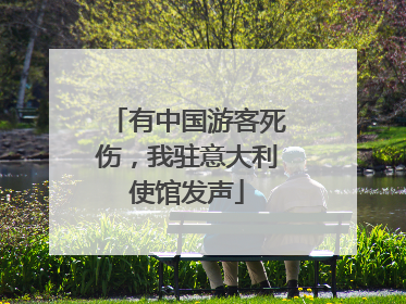 有中国游客死伤，我驻意大利使馆发声