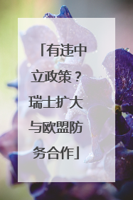 有违中立政策？瑞士扩大与欧盟防务合作