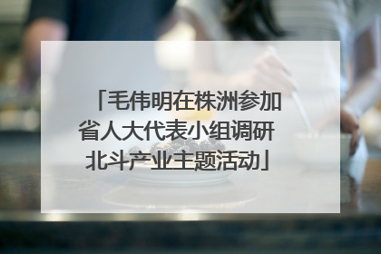毛伟明在株洲参加省人大代表小组调研北斗产业主题活动