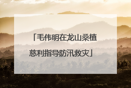 毛伟明在龙山桑植慈利指导防汛救灾