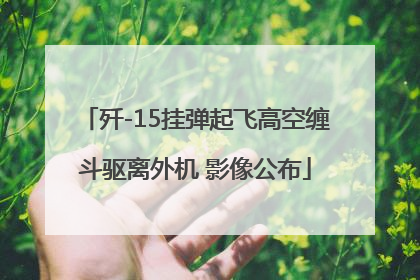歼-15挂弹起飞高空缠斗驱离外机 影像公布