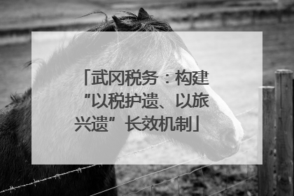 武冈税务：构建“以税护遗、以旅兴遗”长效机制