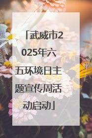 武威市2025年六五环境日主题宣传周活动启动