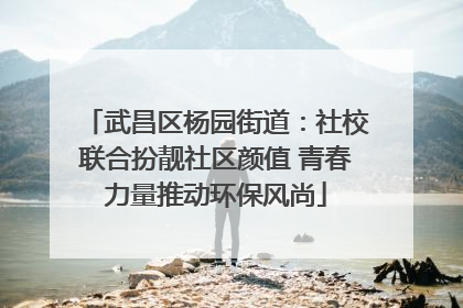 武昌区杨园街道：社校联合扮靓社区颜值 青春力量推动环保风尚