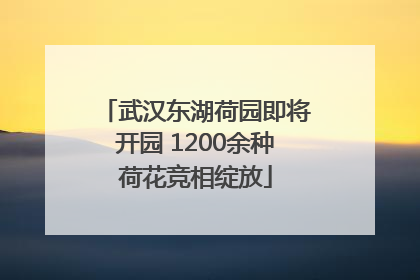 武汉东湖荷园即将开园 1200余种荷花竞相绽放