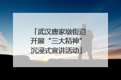 武汉唐家墩街道开展“三大精神”沉浸式宣讲活动