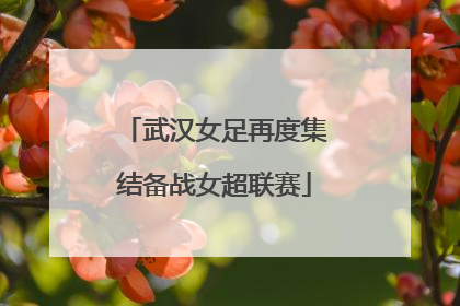 武汉女足再度集结备战女超联赛