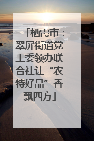 栖霞市：翠屏街道党工委领办联合社让“农特好品”香飘四方