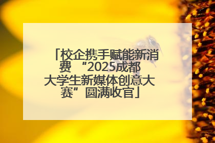 校企携手赋能新消费 “2025成都大学生新媒体创意大赛”圆满收官
