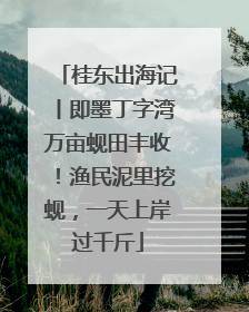 桂东出海记丨即墨丁字湾万亩蚬田丰收！渔民泥里挖蚬，一天上岸过千斤