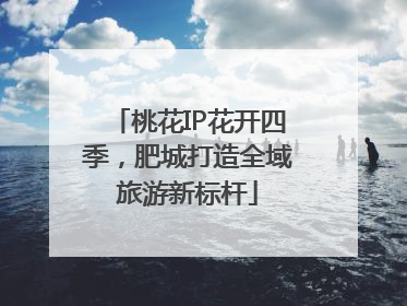 桃花IP花开四季，肥城打造全域旅游新标杆