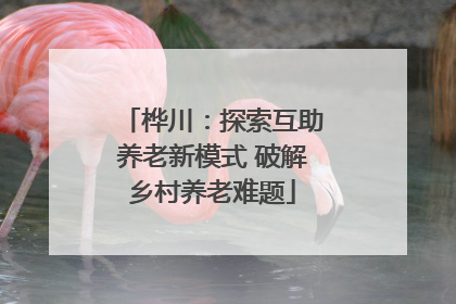 桦川：探索互助养老新模式 破解乡村养老难题