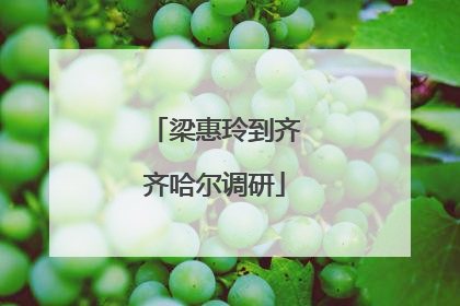 梁惠玲到齐齐哈尔调研