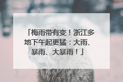 梅雨带有变！浙江多地下午起更猛：大雨、暴雨、大暴雨！