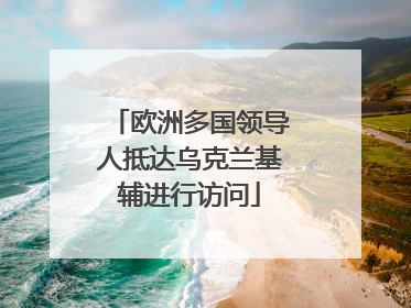 欧洲多国领导人抵达乌克兰基辅进行访问