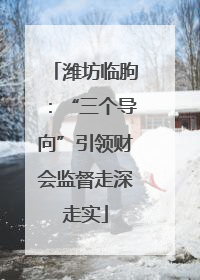 潍坊临朐：“三个导向”引领财会监督走深走实