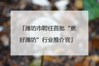 潍坊市聘任首批“更好潍坊”行业推介官