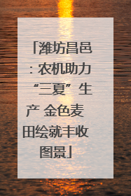 潍坊昌邑：农机助力“三夏”生产 金色麦田绘就丰收图景