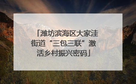 潍坊滨海区大家洼街道“三包三联”激活乡村振兴密码