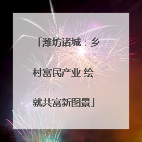 潍坊诸城：乡村富民产业 绘就共富新图景