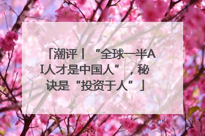 潮评丨“全球一半AI人才是中国人”，秘诀是“投资于人”
