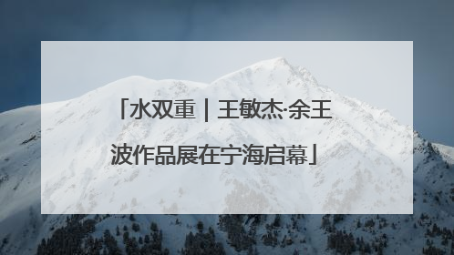 水双重｜王敏杰·余王波作品展在宁海启幕