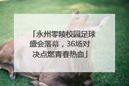 永州零陵校园足球盛会落幕，36场对决点燃青春热血