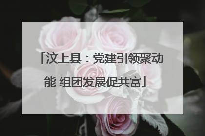 汶上县：党建引领聚动能 组团发展促共富