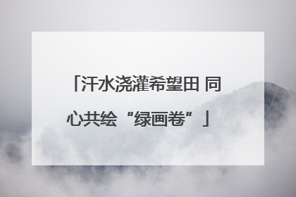 汗水浇灌希望田 同心共绘“绿画卷”