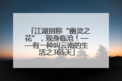 江湖别称“幽灵之花”，现身临沧！——有一种叫云南的生活之365天