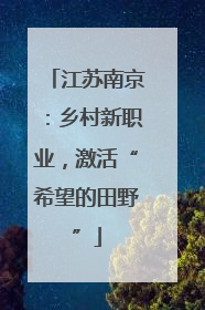 江苏南京：乡村新职业，激活“希望的田野”