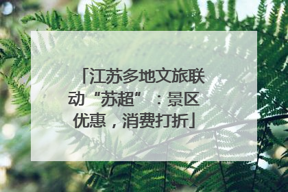 江苏多地文旅联动“苏超”：景区优惠，消费打折