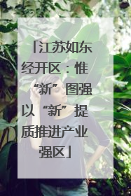 江苏如东经开区：惟“新”图强以“新”提质推进产业强区
