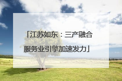 江苏如东：三产融合 服务业引擎加速发力