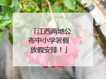 江西两地公布中小学暑假放假安排！