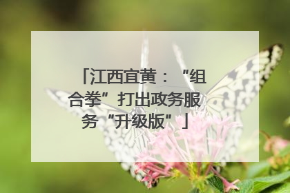 江西宜黄：“组合拳”打出政务服务“升级版”