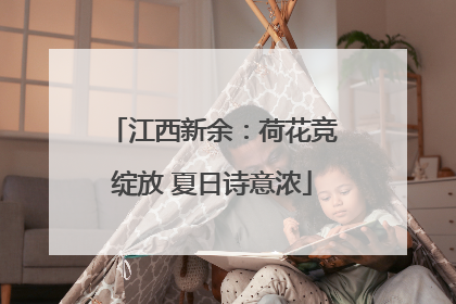 江西新余：荷花竞绽放 夏日诗意浓