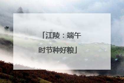 江陵：端午时节种好粮