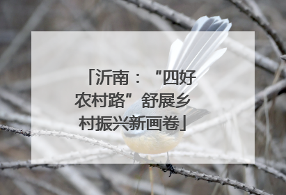 沂南：“四好农村路”舒展乡村振兴新画卷