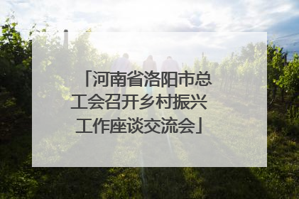 河南省洛阳市总工会召开乡村振兴工作座谈交流会
