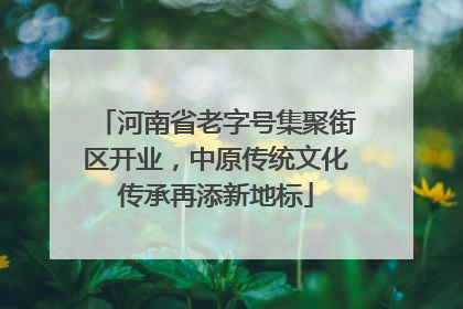 河南省老字号集聚街区开业，中原传统文化传承再添新地标
