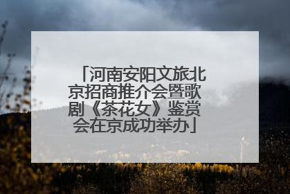 河南安阳文旅北京招商推介会暨歌剧《茶花女》鉴赏会在京成功举办